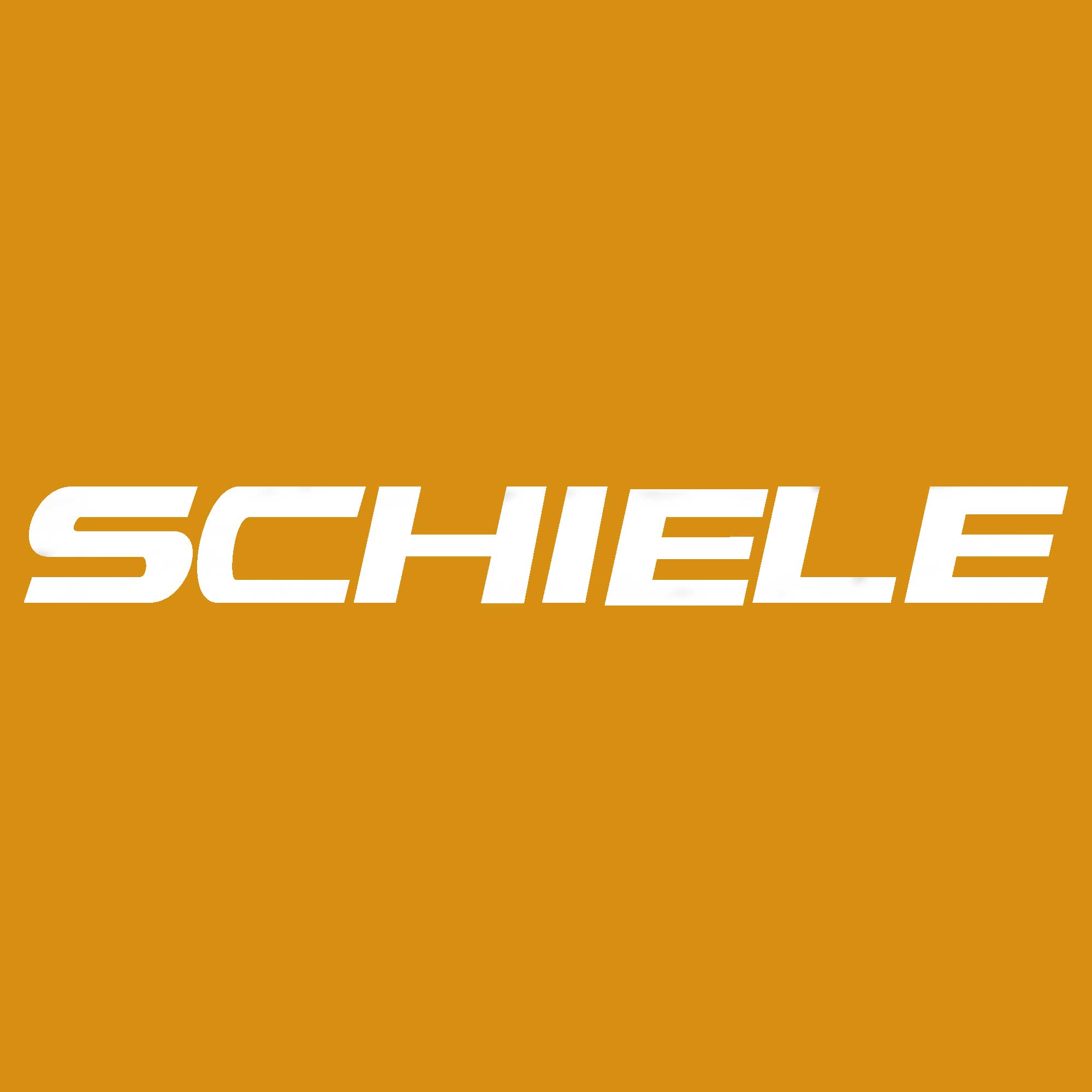نمایندگی شیله SCHIELE